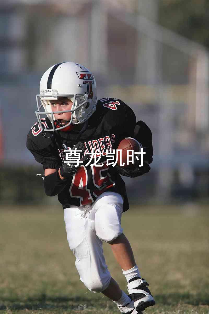 尊龙凯时
